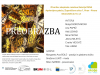 1a-preobrazba-apolonijeva-palac48da-galerija-galerija-runapiranc5beupanc48dic48deva-ulica-7-piran-na-ogled-od-08-02-2020-oc5a1-c5a1marje